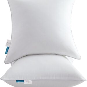 Oubonun 18"x18" Pillow Inserts (Set of 2) - Throw Pillow Inserts with 100% Cotton Cover - 18 Inch Square Interior Sofa Pillow Inserts - Decorative Pillow Insert Pair - White Couch Pillow
